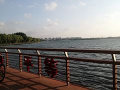 -丁香湖公园