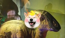 -恐龙探索乐园(磁器口店)