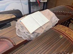 -叶老师古筝工作室(杨公桥店)
