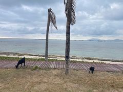 -三亚西岛海洋文化旅游区