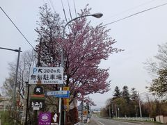 -富田农场