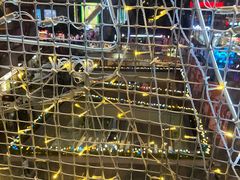 -润园四季椰子鸡火锅(南山海岸城店)