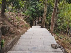 -火炉山森林公园
