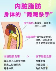 -Fundi张玉珊修身堂·indiba·BTL科技瘦身