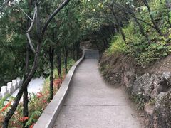 -磬锤峰森林公园