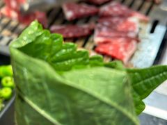 -臻牛烤肉
