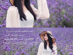 -紫颐香薰山谷景区