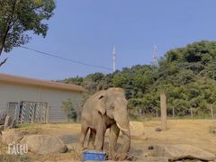 -宁波野生动物园
