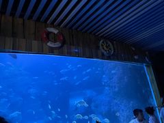 -左海海底世界