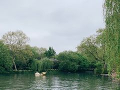 -星巴克(西湖天地店)
