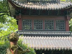 -杭州黄龙洞