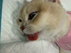-纳吉亚猫专科动物医院博雅分院