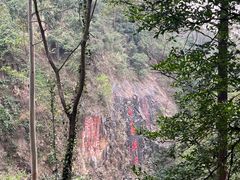 -水濂山森林公园