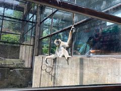 -昆明动物园