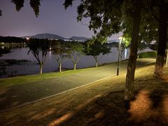 -羊山湖公园