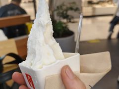 -野人先生Gelato(上海长宁龙之梦店)