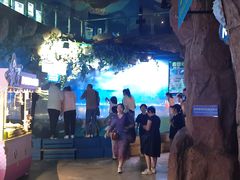 -烟台海昌鲸鲨海洋公园