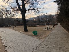 -延安杨家岭革命旧址