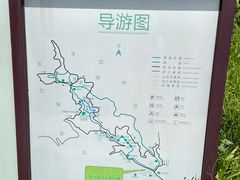 -广州白江湖森林公园