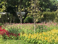 -晓港公园