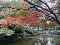 -秋霞圃