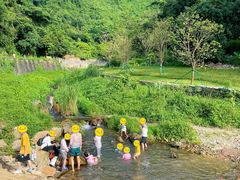 -梧桐山风景名胜区