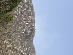 -北京凤凰岭