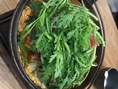 -Hatsune隐泉日式料理(SKP店)
