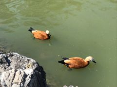 -森林公园(尖草坪区)