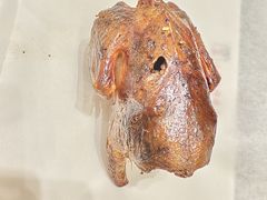 -小桂林烧鸽子