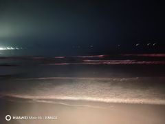 -日照海滨国家森林公园