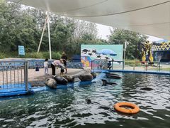 -北戴河圣蓝海洋公园