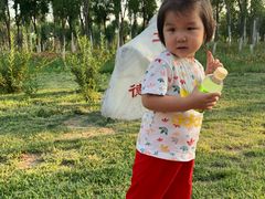 -天津东丽湖风景区