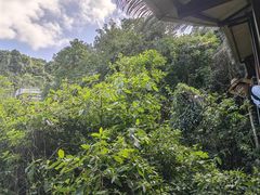 -海南槟榔谷黎苗文化旅游区