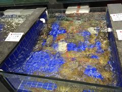 -余记海鲜(合生广场店)