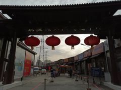 -中环花鸟鱼虫市场