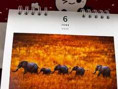 -好利来(朝外店)