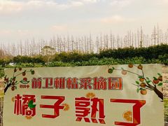 -上海长兴岛郊野公园