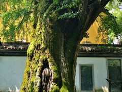 -味德丰·酱鹅(嘉兴新塍店)