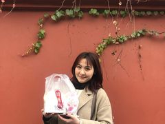 -闻酥园(青羊区文殊坊店)