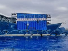 -上海海昌海洋公园