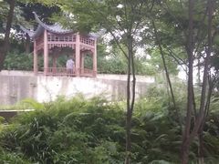 -重庆市巴渝学校