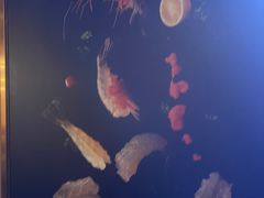 -罗氏十三活虾餐厅(光谷K11购物艺术中心店)