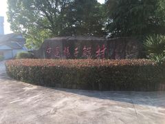 -中国扬子鳄村