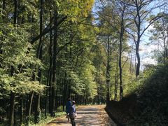 -山王坪喀斯特国家生态公园