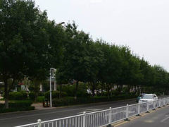 -青岛景园假日酒店