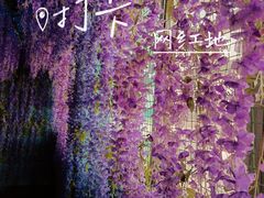 -苏州5D星空错觉艺术馆