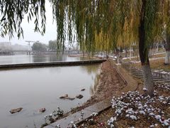 -雁滩公园