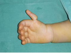 -华中科技大学同济医学院附属协和医院(主院区)