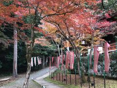 -醍醐寺